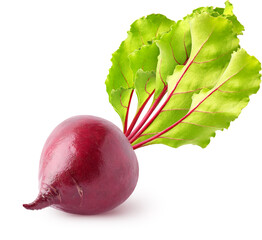 Isolated Beetroot. Whole single beetroot with leaves isolated on white background with clipping path