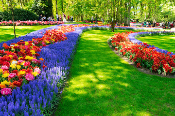 fresh lawn with flowers