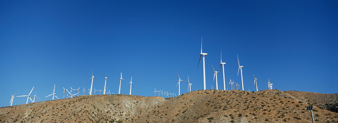 Fototapeta Group of aligned windmills against blue sky obraz