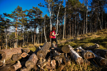 Active female hiker waliking and exploring mountain forest. Girl hiking into the mountain forest. Mountain Divcibare in western Serbia.