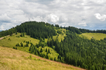Mountain landscape, view on Carpathian Mountains, summertime. Green hills, meadows and forest. panorama of Carpathians, rolling landscape. Ukraine