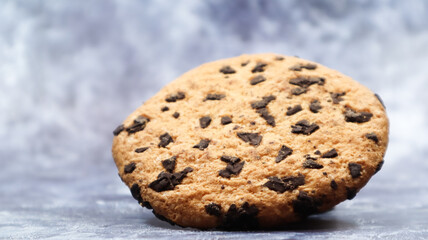 One soft, freshly baked chocolate chip cookie on a gray marble kitchen countertop. American traditional dessert. Delicious sweet food. Homemade baking concept for the holiday. Culinary background