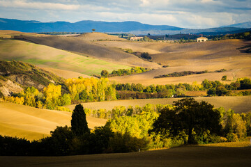 Fototapeta premium colorful autumn valley view, perfect fields in tuscany, italy