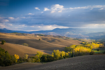 autumn landscape with hills and yellow trees, italy, tuscany