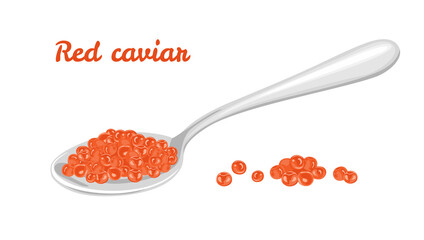 Red caviar in metal spoon isolated on white. Vector illustration of seafood. Cartoon flat style.