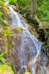 Waterfall in th forest