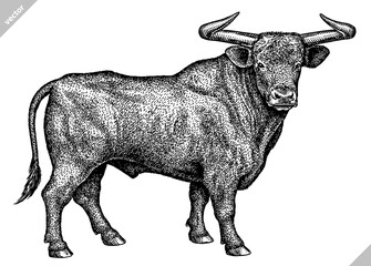 black and white engrave isolated bull vector illustration