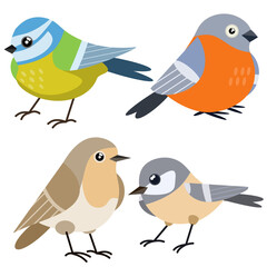Set of Bird. Wild animal. Winged songbird. Cartoon flat illustration. Sparrow, Nightingale and bullfinch.