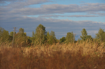 Old fields in abandoned village