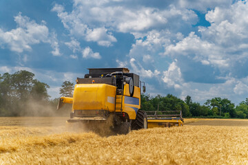 Combine harvester in action on wheat field. Process of gathering ripe crop from the fields....