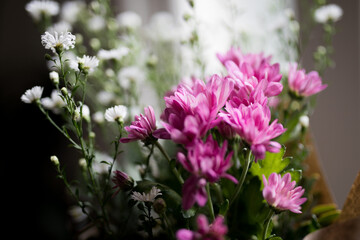 Close up of flowers with blurred background