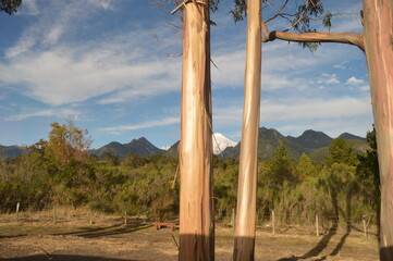 Autumn hiking in the mountains and lake district of San Martin de Andes in Argentina