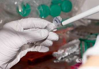 Pipetting samples in 96 well microplate. Samples preparation for analysis in the scientific laboratory.