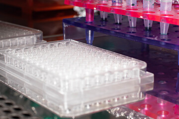 Pipetting samples in 96 well microplate. Samples preparation for analysis in the scientific laboratory.