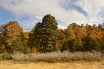 Hiking in Patagonian Autumn with stunning colors around San Martin de Andes in Argentina