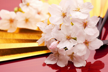 桜の花びらと金扇子
