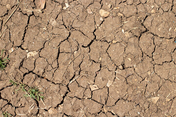 cracked ground from hot weather and bright sun
