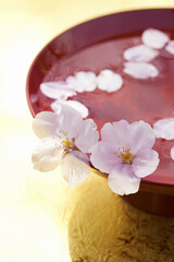 Fototapeta na wymiar 桜の花びらと杯