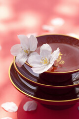 桜の花びらと杯