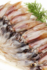 生のホタルイカ