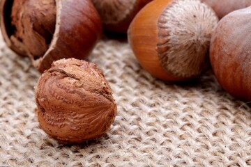 hazelnuts