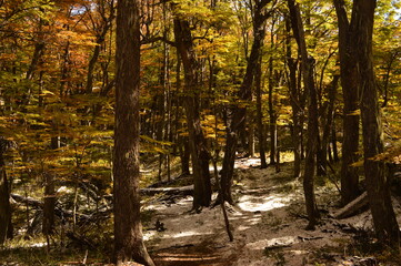 Hiking in the mountains and around the lakes of Bariloche and San Martin in Argentina