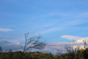 Clouds in the evening