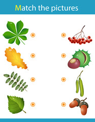 Matching game, education game for children. Puzzle for kids. Match the right object. Leaves and fruits of trees. Chestnut, oak, Rowan, birch.
