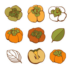 Vector set with persimmon on color background. Flat style.
Illustration for wrapping paper, post cards, prints for clothes, and emblems. 