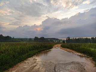 Landscape with the image of a country road