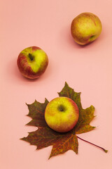 The vertical photo shows three ripe apples and a multicolored maple leaf on a pink background