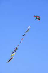 鯉のぼりの凧揚げ