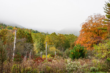 Beautiful fall morning. Fog lifting off the mountains in Pennsylvania. Fall foliage.