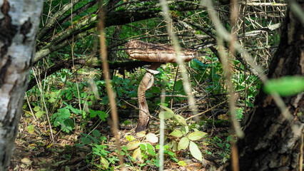 OLYMPUS DIGITAL CAMERA © Marta