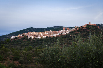 Fototapeta na wymiar Landscape of the medieval village of Villafames among the olive trees at sunset with the castle on the top of the hill, Castellon, Spain