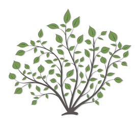 Bush plants with branches and green leaves on a white background
