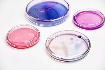 Pink, blue and transparent agar media in Petri dishes for grafting bacteria.