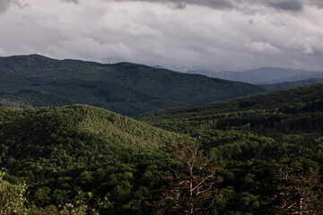 Obraz premium aerial view of forest. panorama of the mountain forest.