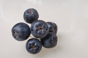 Chokeberry (Aronia ) on the Table