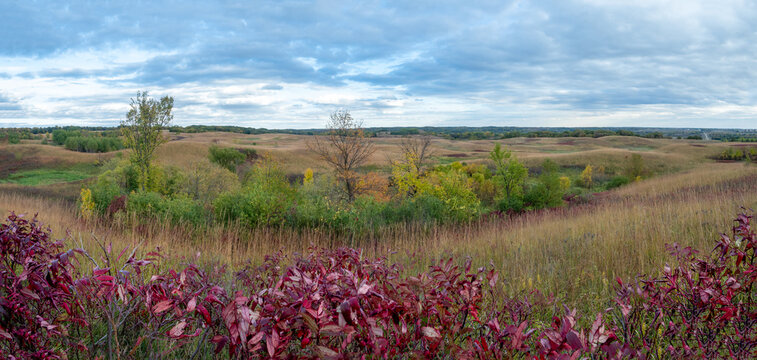 A prairie shows colors under autumn clouds