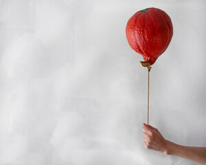 a woman's hand with a pumpkin in the form of a balloon on the background of a gray wall as a gift for the harvest festival