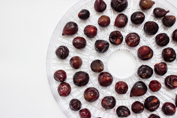 Fig. Small purple berries are laid out on round grids of a dehydrator for drying. Browned,...