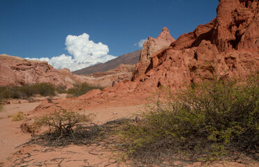 The red canyon. View of the arid valley, desert flora, red and orange sandstone, rock formations and mountains under a blue sky. 