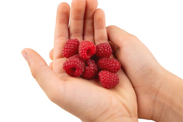 raspberries in the palms