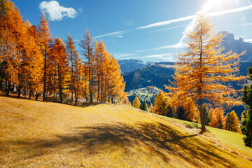 Splendid autumn landscape in Val Gardena. Location Dolomites, Trentino Alto Adige, Italy, Europe.
