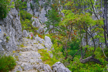 Tasnei Gorges landscape in the protected area of Herculane, Romania