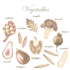 Hand drawn vegetable set