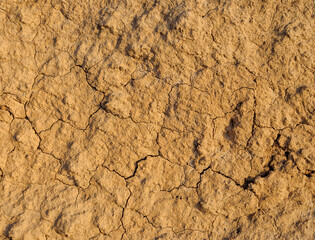 The clay layer is dry and cracked from the sun. Can be used as a background.