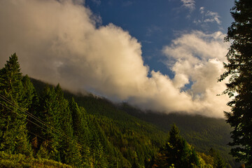 Morning fog in the mountains around Sproat lake in Vancouver Island, British Columbia, Canada