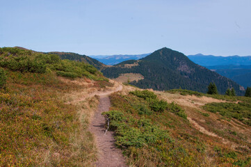Fototapeta premium path in the mountains